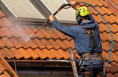 Démoussage et hydrofuge de toiture au Brethon